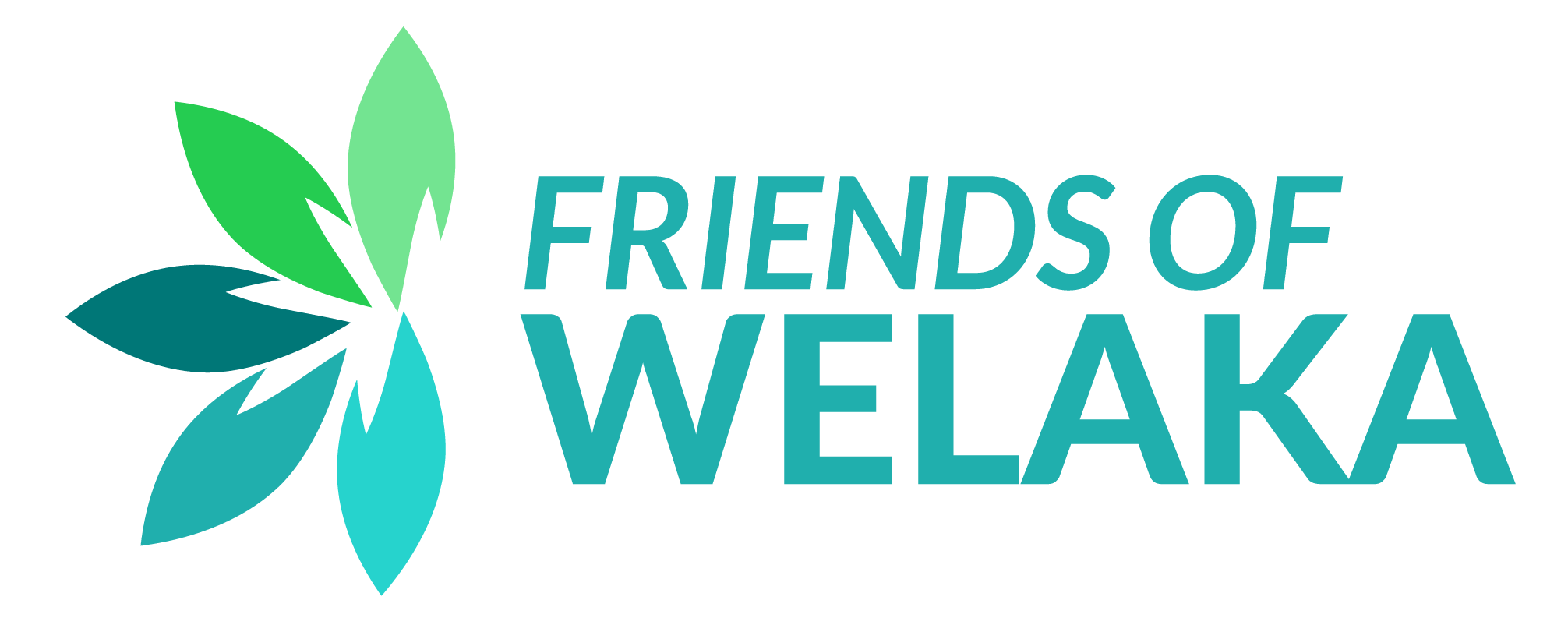 Friends of Welaka